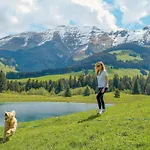 Hotel Novotel Mont-blanc 4*