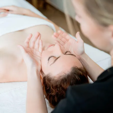 Hotel Novotel Mont-blanc