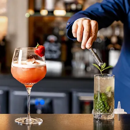 Hotel Novotel Mont-blanc Megève