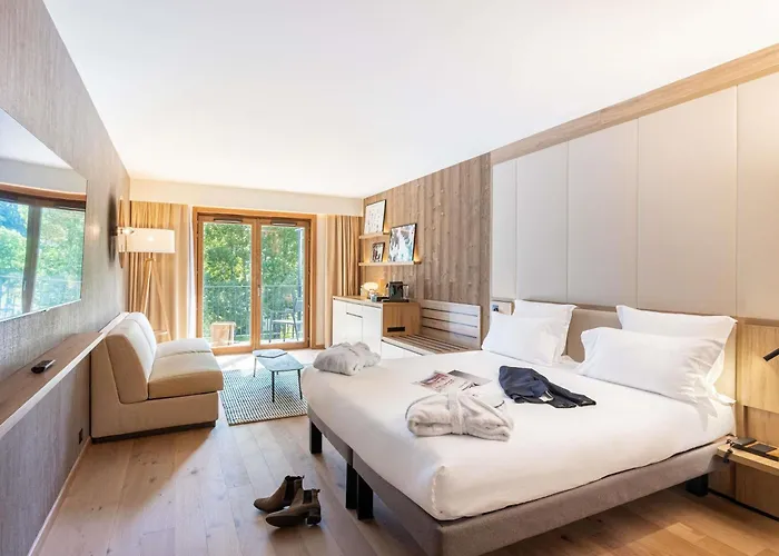 Novotel Mont-blanc 4* 梅杰夫