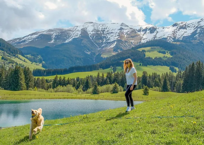 מלון Novotel Mont-blanc 4*